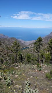 2022-03-GranCan-Mirador_Sargento-Trekking-PM-NN-61.JPG
